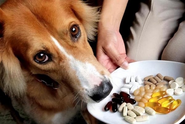 What are the reactions of dogs after taking deworming medicine...