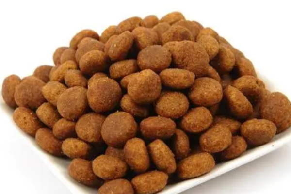 How to feed dog food? Teach you how to feed all kinds of dog food!