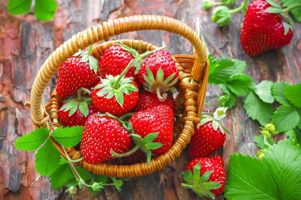 Winter fruits/