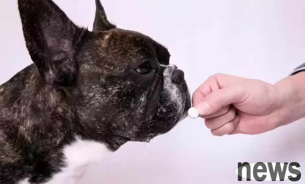 Can dogs be dewormed internally and externally?