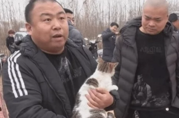 The cat is lost and the owner is looking for it hard, but they meet unexpectedly in the dog market. They always laugh at the surrounding people.