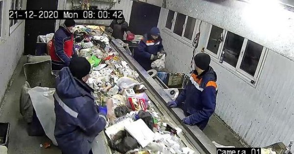 The cruel owner abandoned the cat, put it in a plastic bag and threw it into a trash can, almost dying in the garbage sorting site