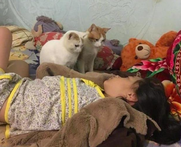 The woman stayed up late and forgot to feed the cat. She opened her eyes and wanted to continue pretending to be asleep: It was not intentional!
