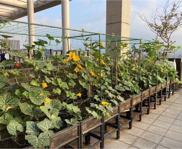 The 52-year-old woman only spends 