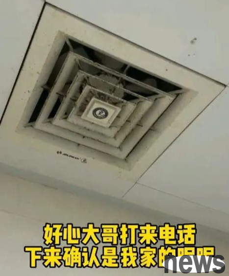 The cat was found after being lost for 36 days and lost a full 4 pounds: Never be separated again