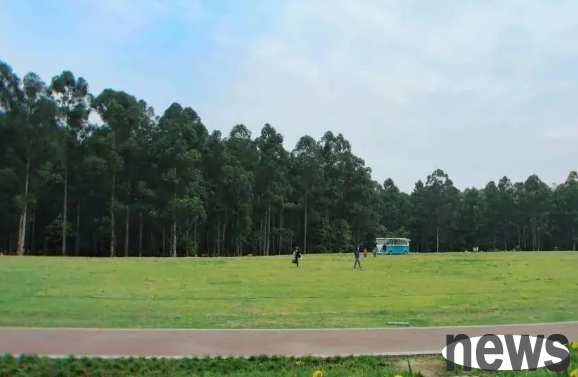 Chengdu’s pet-friendly park offers picnics, flower viewing, and dog walking, all at once!