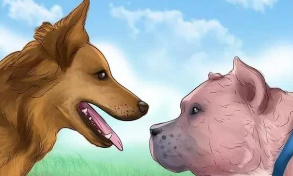 7 Easy Ways to Train Your Dog to Get Along with Other Dogs