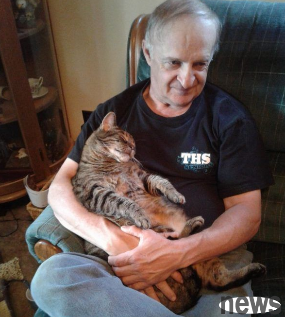 A cat that loves to be pulled and cuddled. If you don’t cuddle it, it will make you look bad all day long.