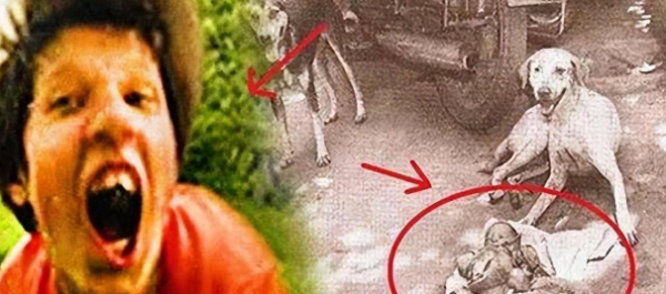 The Ukrainian girl who was raised by dogs, the real-life 