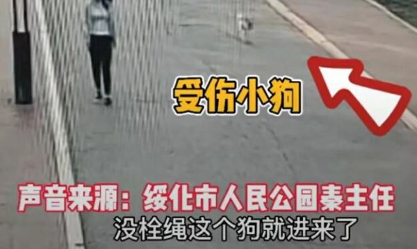 An unleashed pet dog broke into the People s Park of Suihua City. Park security immediately went to hunt it down after discovering it!