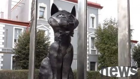 Super dream job: Captain Cat responsible for taking care of stray cats